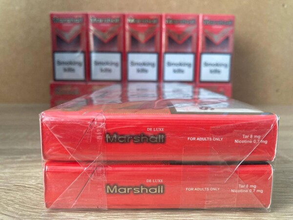 Marshall 100 KS red — изображение 3