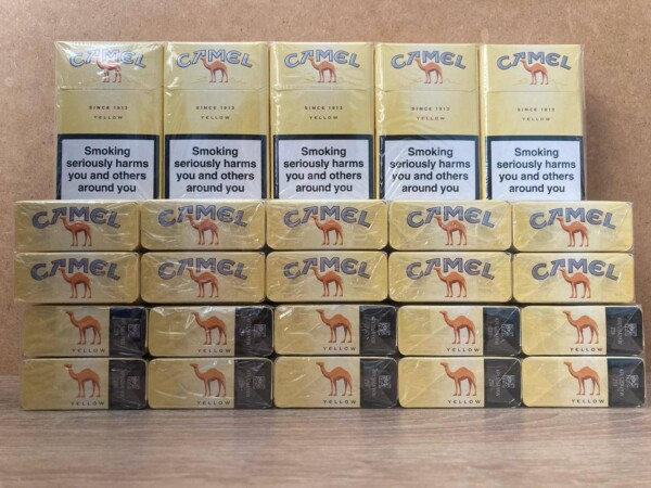 Camel KS — изображение 2